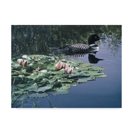 Ron Parker 'Loon And Lilies' Canvas Art,18x24
